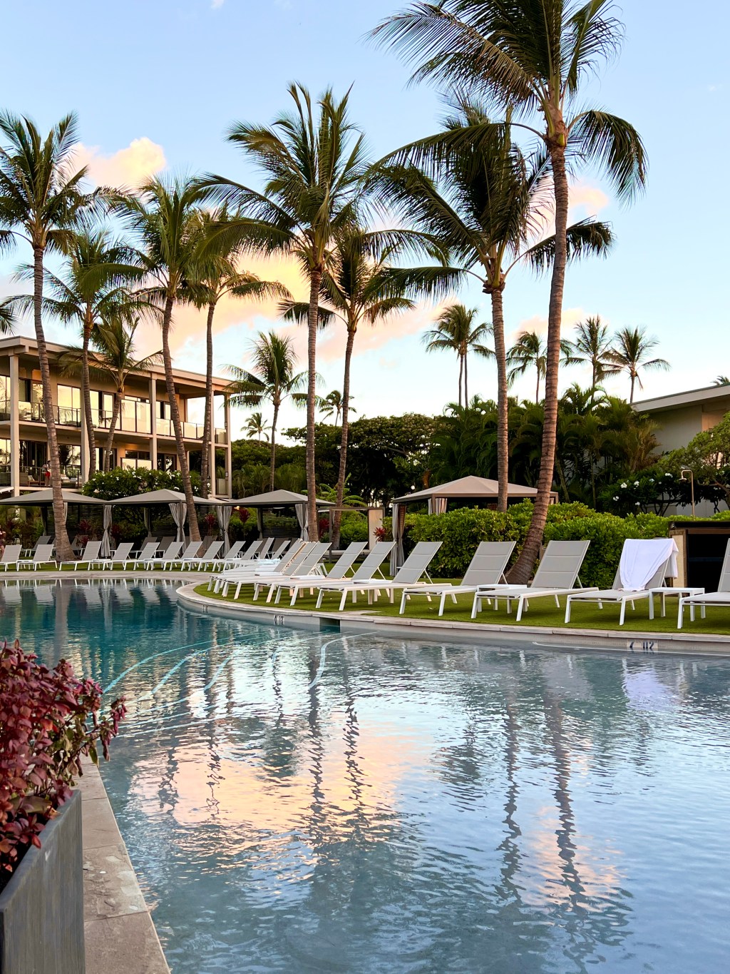 Dinner at Morimoto&nbsp;Maui